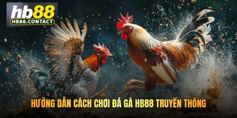 Hướng dẫn cách chơi đá gà HB88 truyền thống